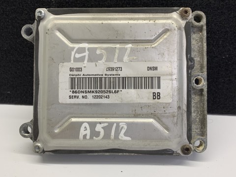 Delphi control module 09391273 G01003