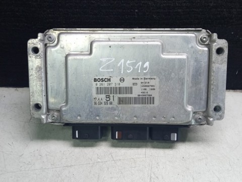 9653492680 0261207318 ECU for CITROEN